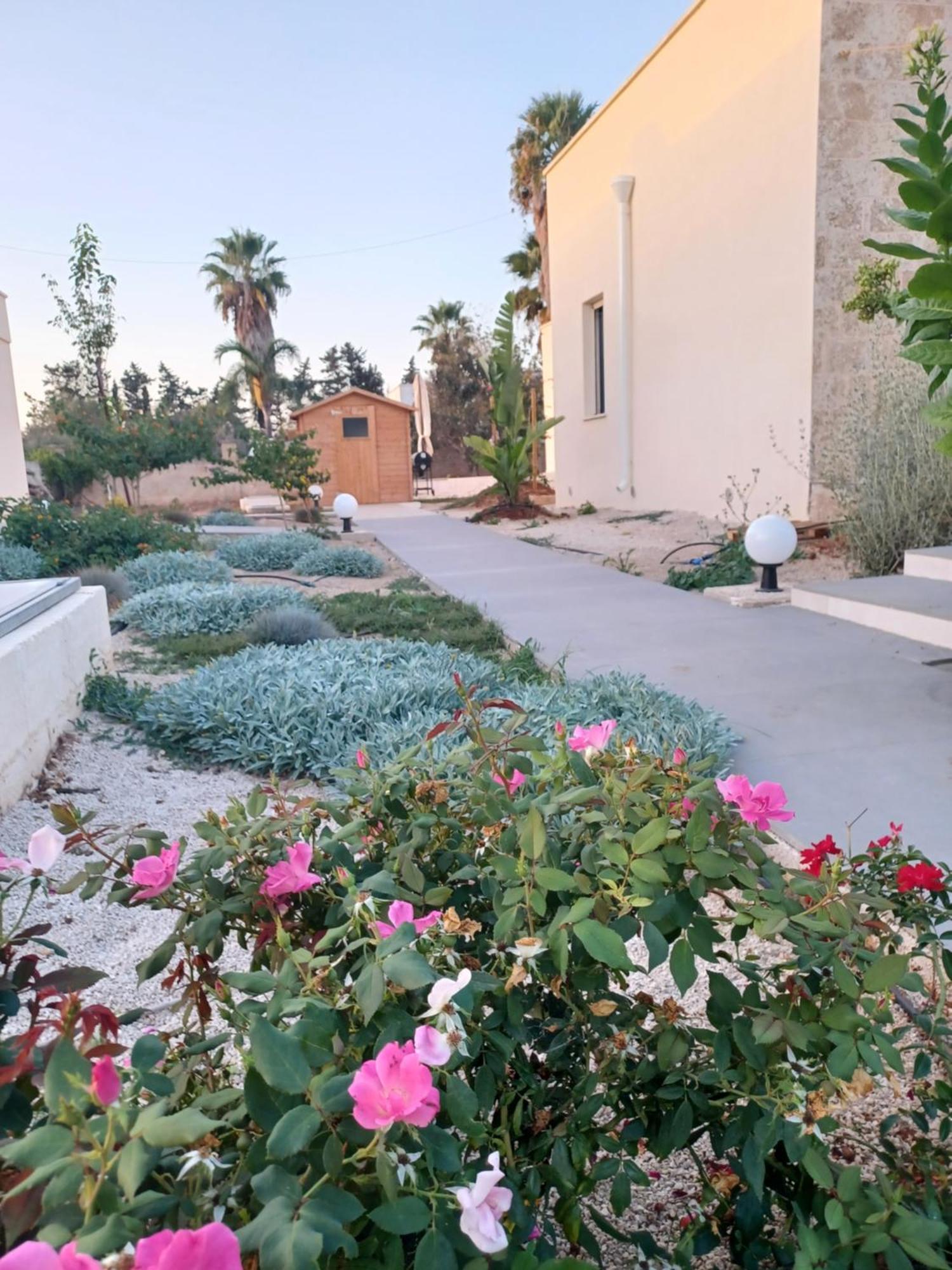 Zeituna Lodge A Porto Cesareo 托雷拉皮罗 外观 照片