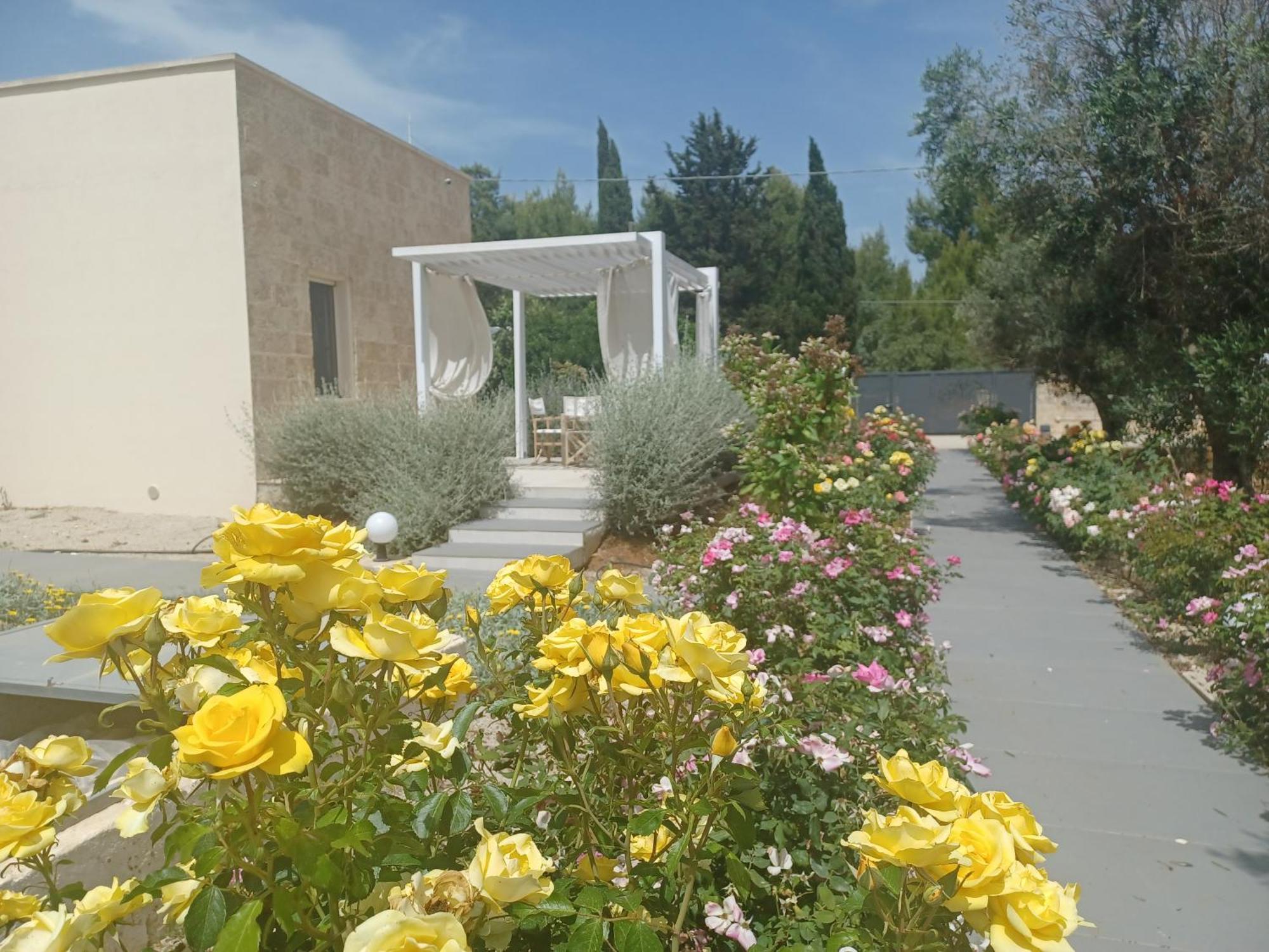 Zeituna Lodge A Porto Cesareo 托雷拉皮罗 外观 照片