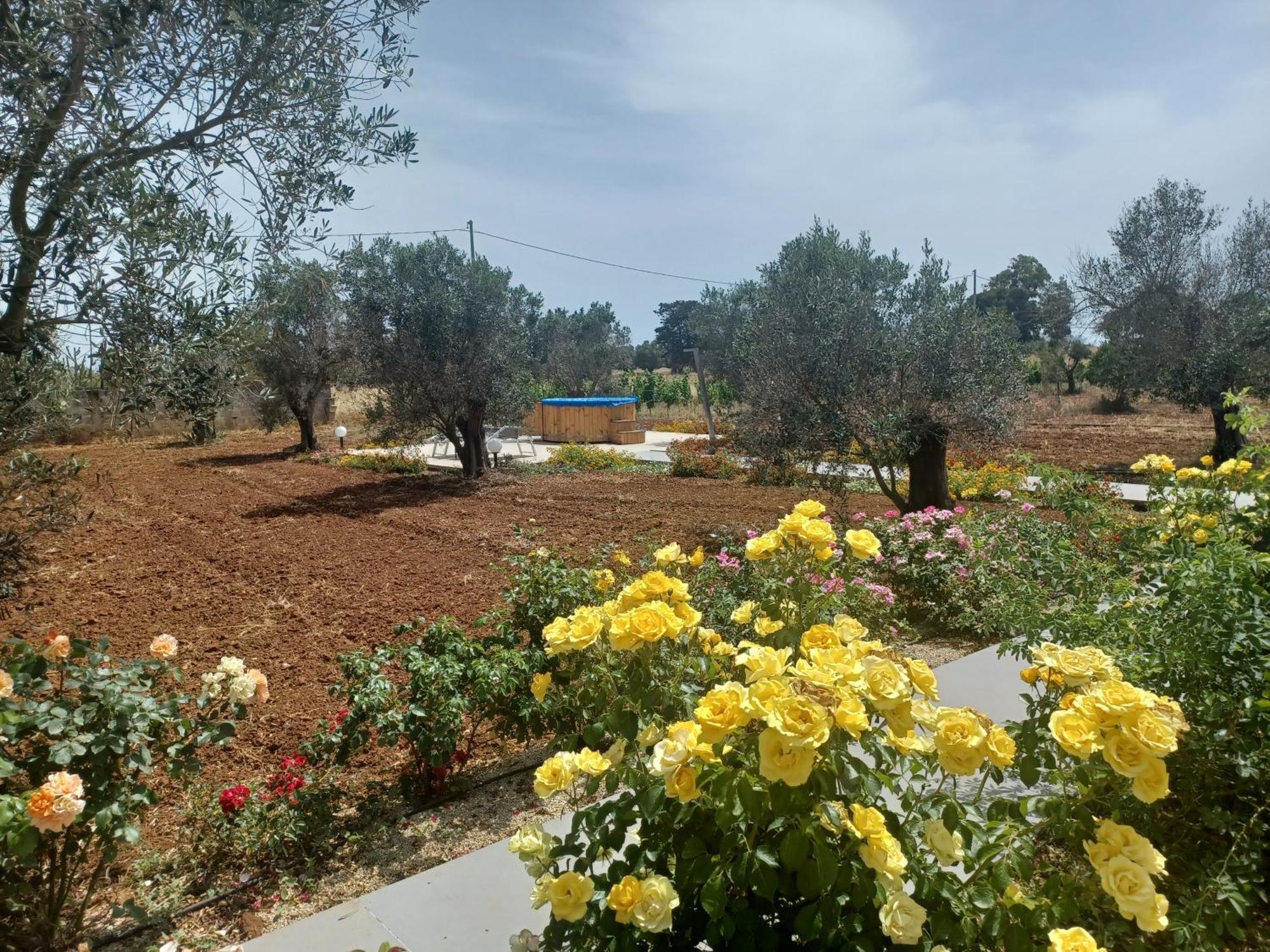 Zeituna Lodge A Porto Cesareo 托雷拉皮罗 外观 照片